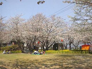 お花見♪