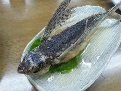 屋久島　トビウオの姿揚げ