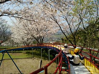 東光山　滑り台