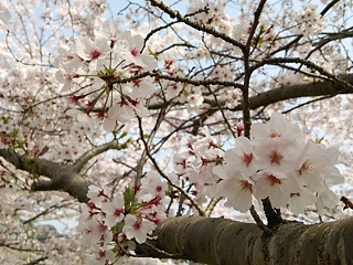 西之口運動公園