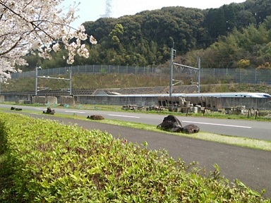 西之口運動公園