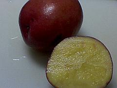 赤ジャガイモ 赤ジャガイモ