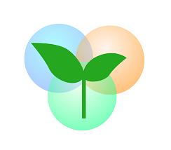 株式会社ワイズプラス 株式会社ワイズプラス