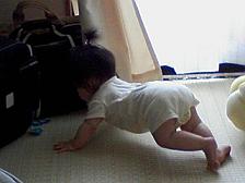 日々成長しています