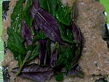 かごしまの伝統野菜「ハンダマのつくねロール」