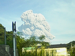 久々に見ました！