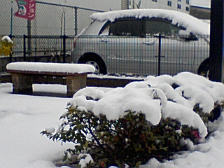 雪だるま 雪だるま