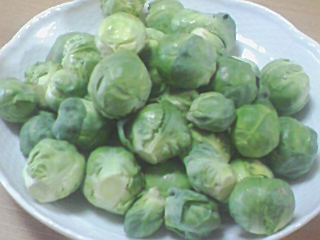 芽キャベツ 芽キャベツ