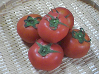 贅沢（！）かも・・・