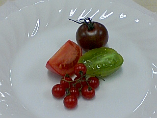 みんカル みんカル