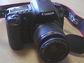 一眼レフ 一眼レフ