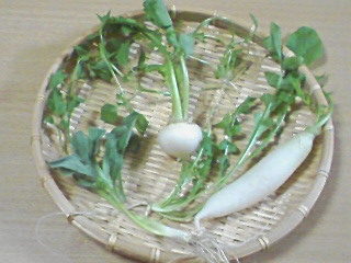 七草のずし 七草のずし