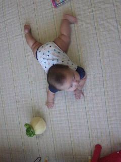 ハイハイ ハイハイ