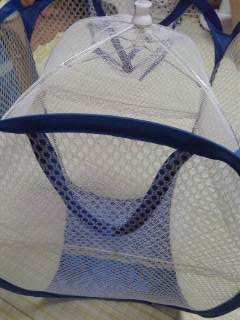 干しカゴ 干しカゴ