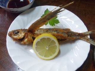 れんが屋 屋久島 れんが屋 屋久島