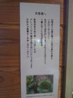 屋久島ヴィータ 屋久島ヴィータ