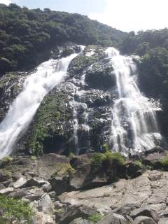 屋久島 屋久島