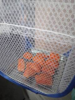 自家製みりん干し 自家製みりん干し