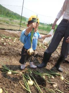 グリーンファーム グリーンファーム