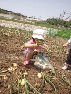 グリーンファーム グリーンファーム