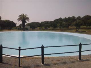 番所丘公園 徒歩池 番所丘公園 徒歩池