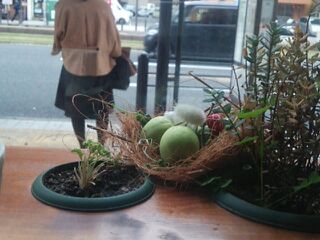 森のかぞく 森のかぞく