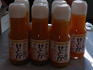 薩摩出水のいずみさん 薩摩出水のいずみさん