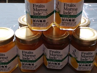 薩摩出水のいずみさん 薩摩出水のいずみさん