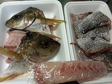 一尾丸ごとお魚を買ったら・・・