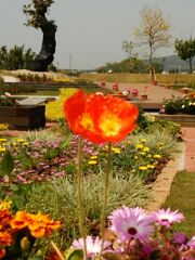 クレインパーク クレインパーク