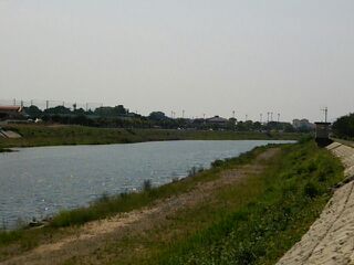 河川敷 河川敷