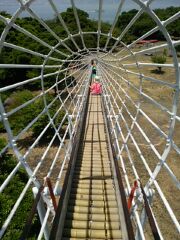 恐竜公園@桜島 恐竜公園@桜島