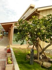 阿久根駅 阿久根駅