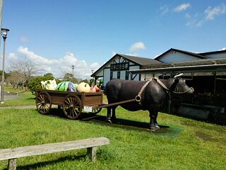 おおすみ弥五郎伝説の里 おおすみ弥五郎伝説の里
