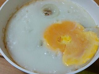 ダチョウの卵 ダチョウの卵