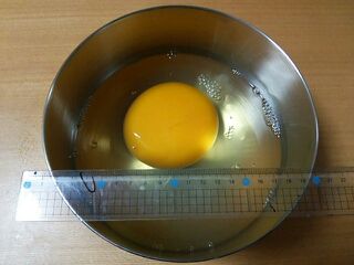 ダチョウの卵 ダチョウの卵