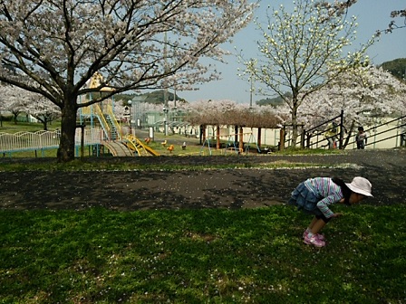 西之口運動公園 西之口運動公園