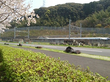 西之口運動公園 西之口運動公園