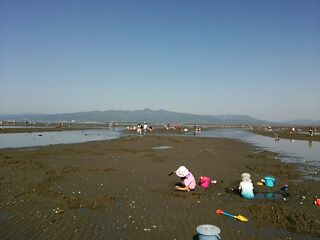 福之江浜 福之江浜