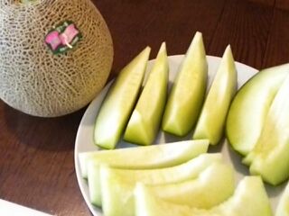 肥後グリーン 肥後グリーン