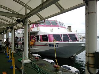 トッピー トッピー