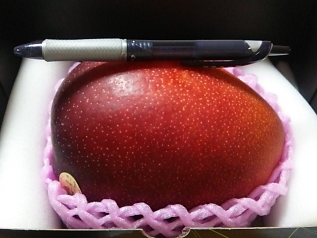 マンゴー♪マンゴー♪