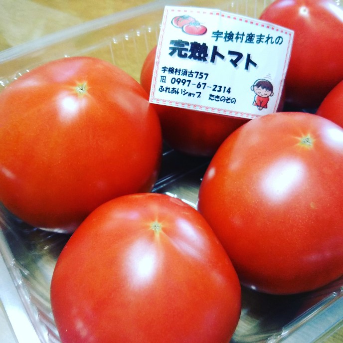 たきのそのトマト