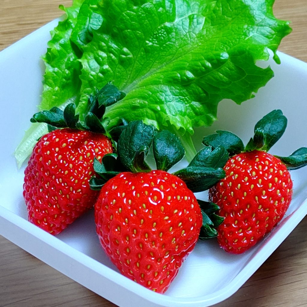 いよいよ始まりました