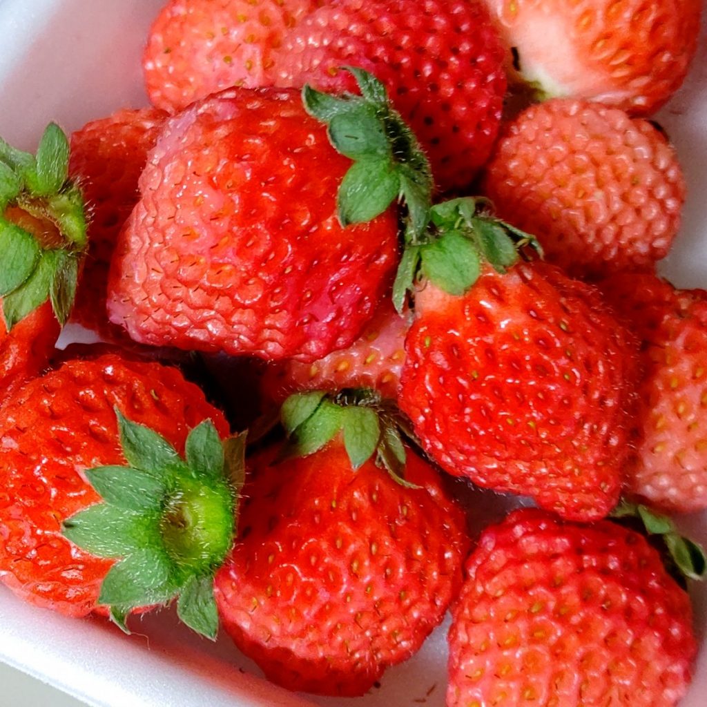 イチゴいろいろ