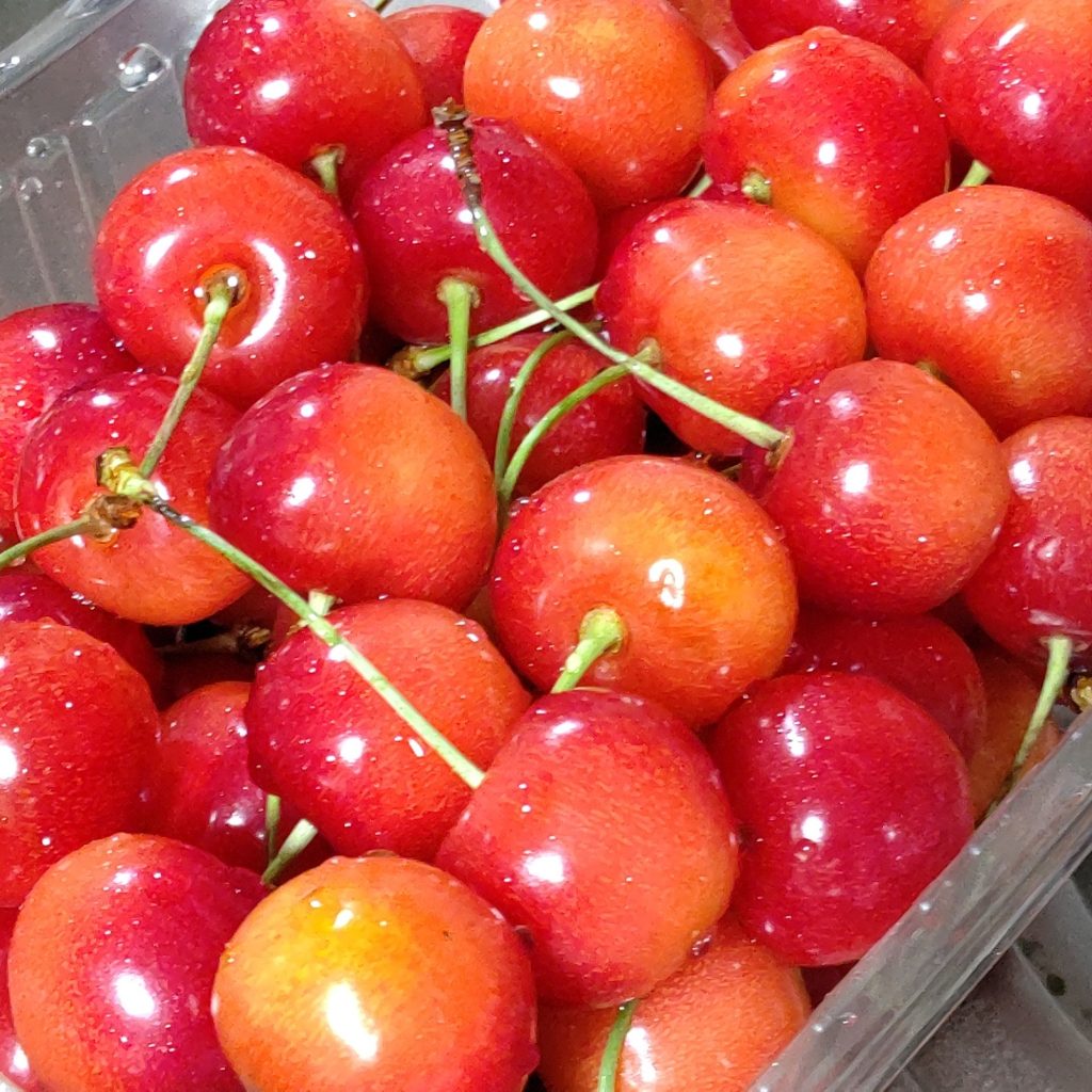 今年も届きました！