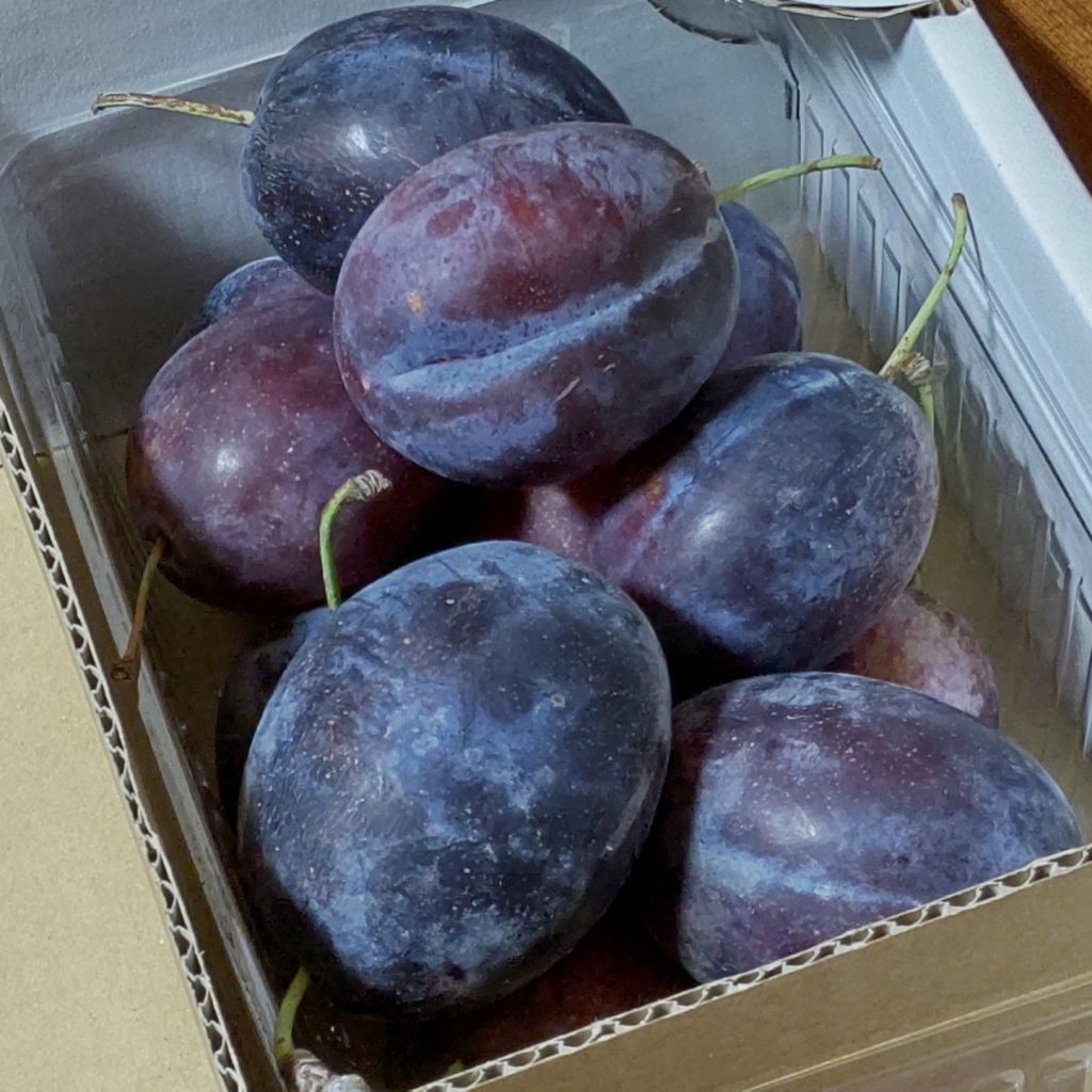 珍しいいただきもの