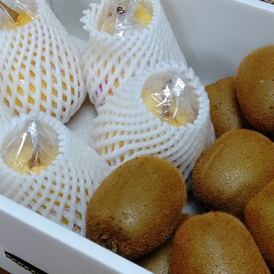 果物いっぱい♪