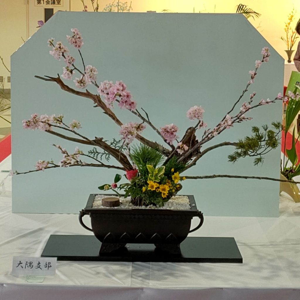 花展始まっています♪