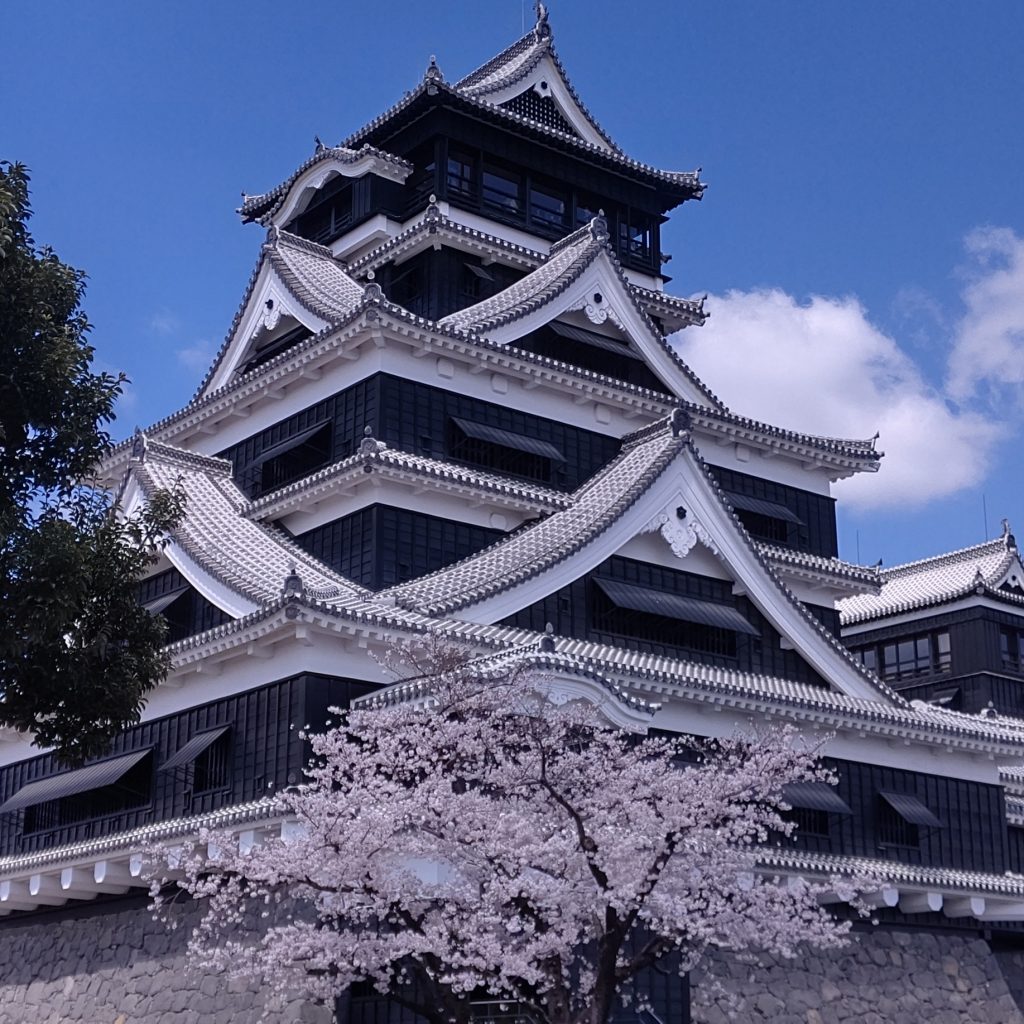 桜の熊本城